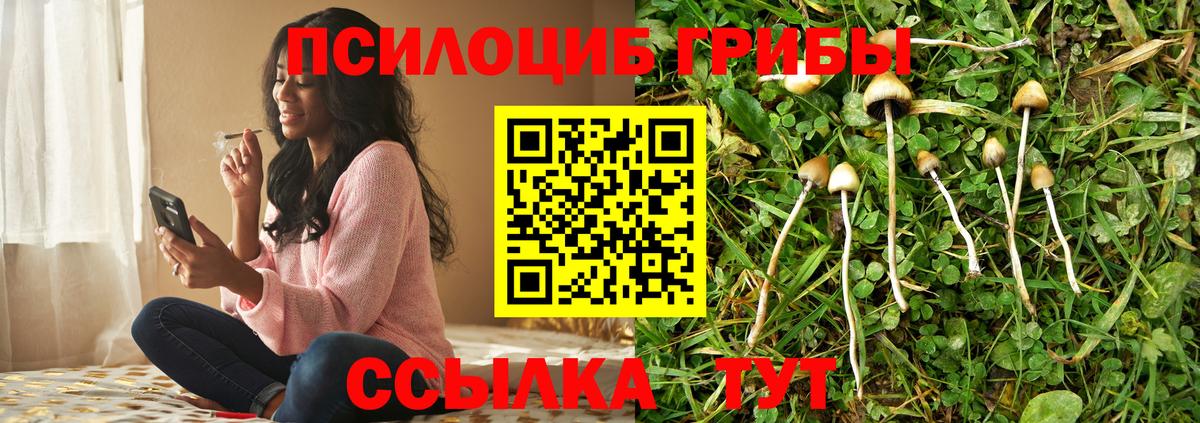 Псилоцибиновые грибы Psilocybine cubensis Нурлат