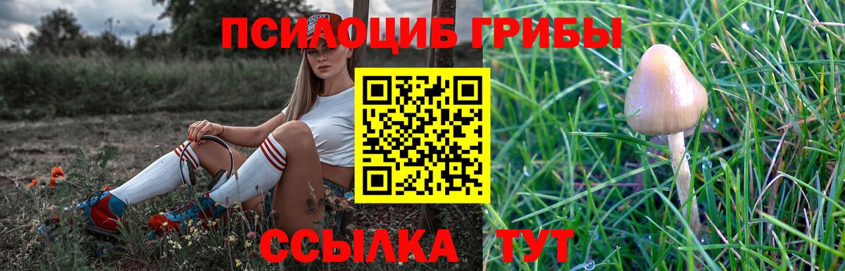 Нурлат  Галлюциногенные грибы MAGIC MUSHROOMS  Вход с VPN  Галлюциногенные грибы Cubensis 