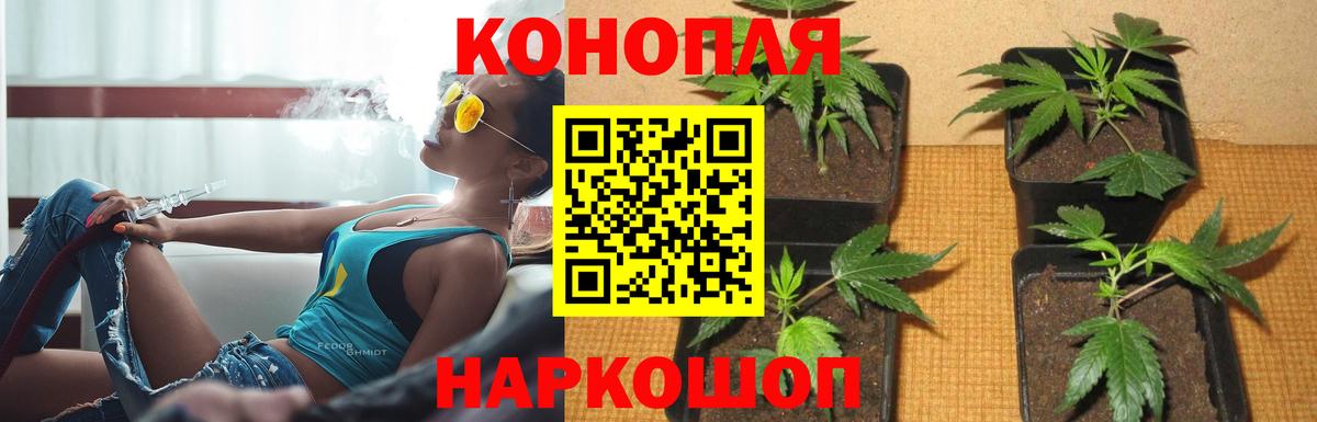 МАРИХУАНА семена Нурлат